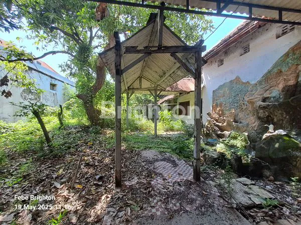 image RUMAH LUAS DI KOTA  PASURUAN (5)