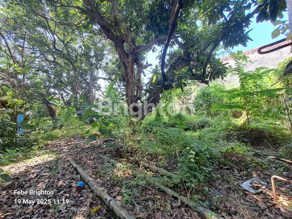 image RUMAH LUAS DI KOTA  PASURUAN (7)