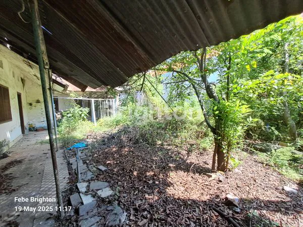 image RUMAH LUAS DI KOTA  PASURUAN (3)