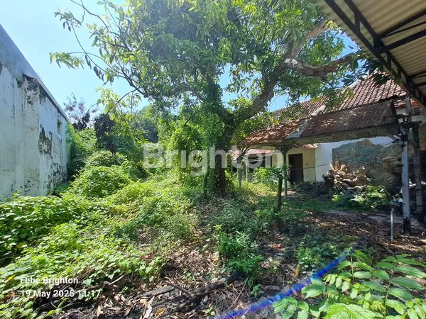 image RUMAH LUAS DI KOTA  PASURUAN (6)