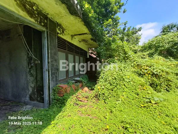 image RUMAH LUAS DI KOTA  PASURUAN (4)