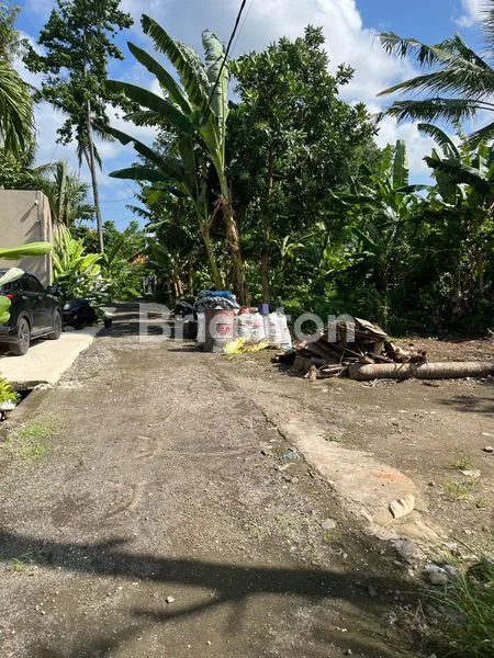 TANAH YANG SANGAT LANGKA DI TABANAAN