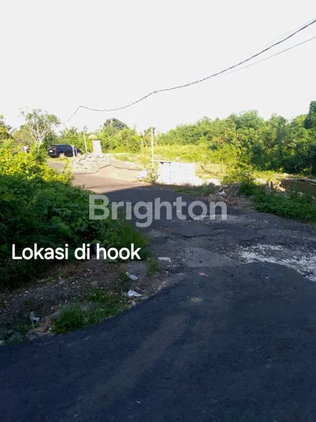 image TANAH IDAMAN 2 MENIT KE JALAN UTAMA JL. IDA BAGUS MANTRA & 3 MENIT KE PANTAI PERING GIANYAR BALI (4)