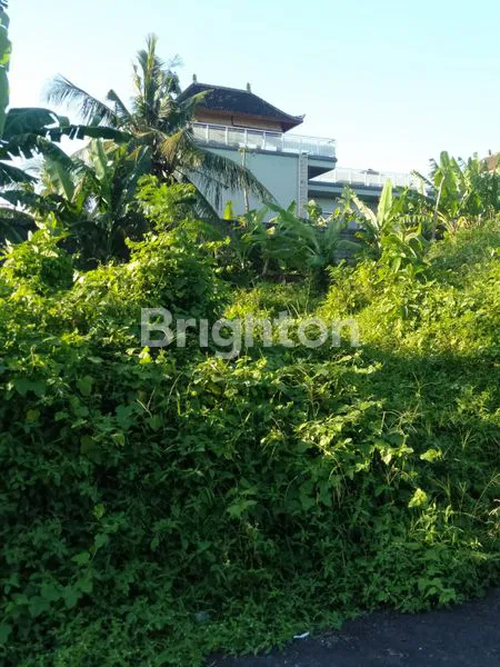 image TANAH IDAMAN 2 MENIT KE JALAN UTAMA JL. IDA BAGUS MANTRA & 3 MENIT KE PANTAI PERING GIANYAR BALI (8)