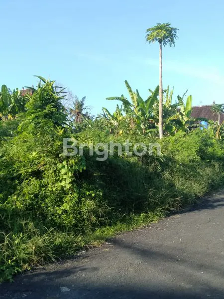 image TANAH IDAMAN 2 MENIT KE JALAN UTAMA JL. IDA BAGUS MANTRA & 3 MENIT KE PANTAI PERING GIANYAR BALI (7)