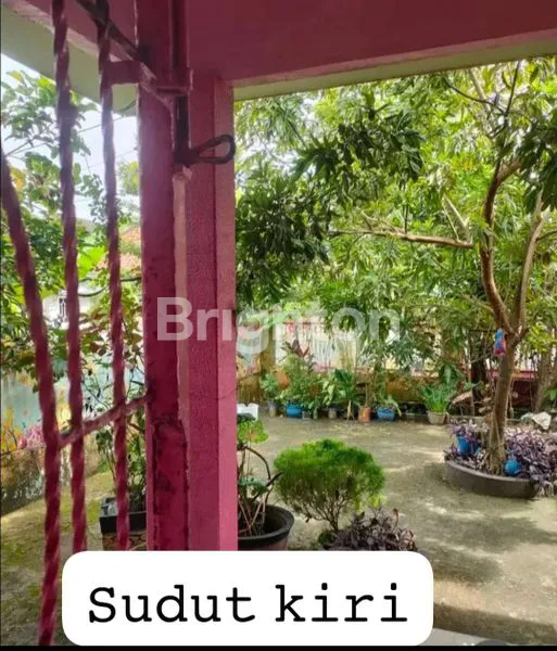 image RUMAH DI JUAL LOKASI MATA MERAH DEPAN  (2)