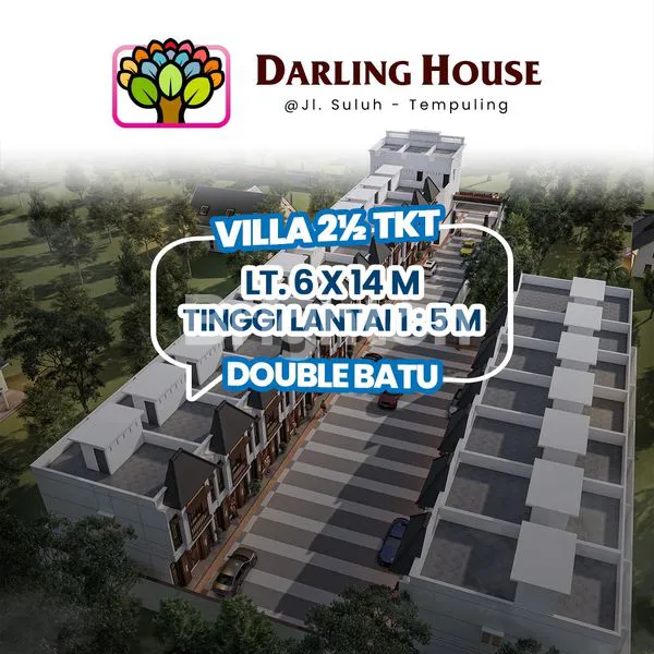 image DARLING HOUSE (4)