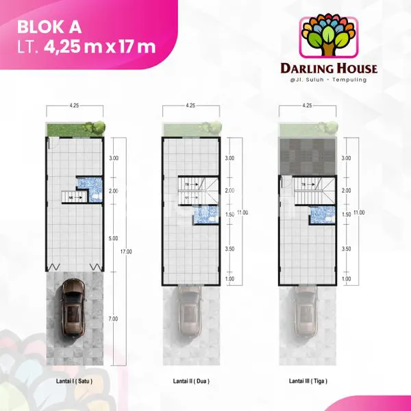 image DARLING HOUSE (7)