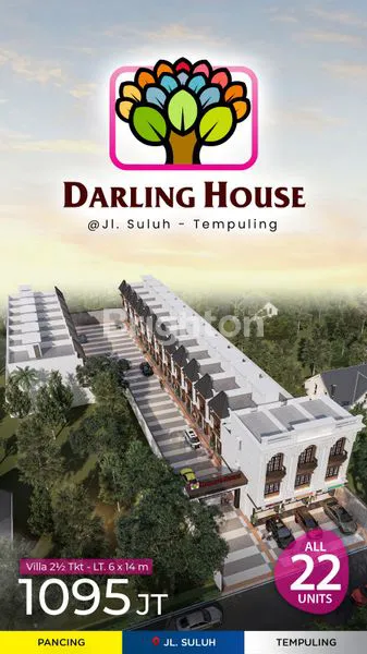 image DARLING HOUSE (8)