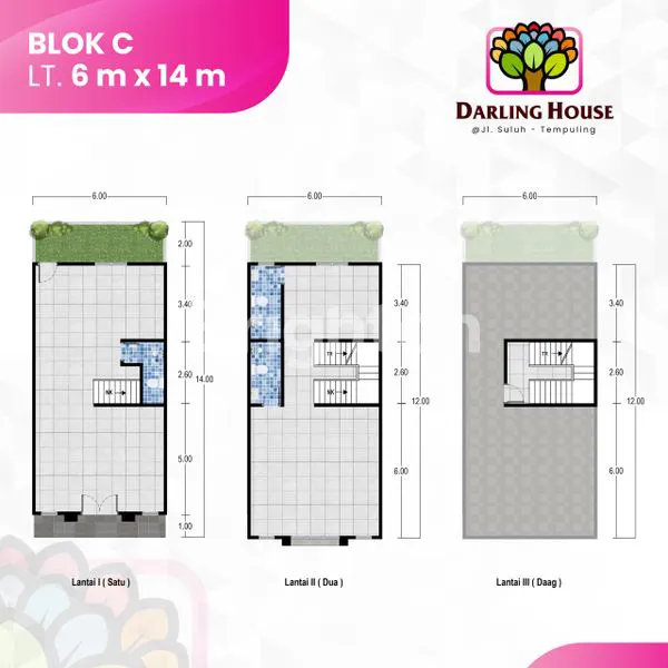 image DARLING HOUSE (5)