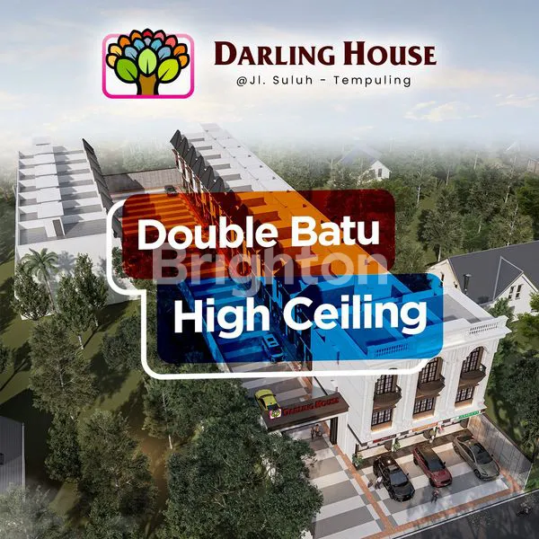 image DARLING HOUSE (3)