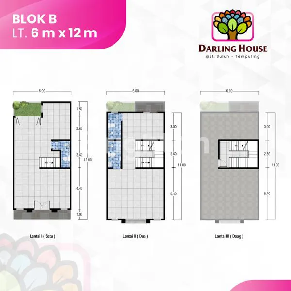 image DARLING HOUSE (6)