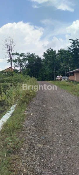 image TANAH INDUSTRI MADIUN NGAWI (2)