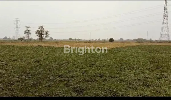 image LAHAN LUAS, MURAH, DI KEC. SEKARWANGI & KEC. TAMBUN UTARA, BEKASI (1)