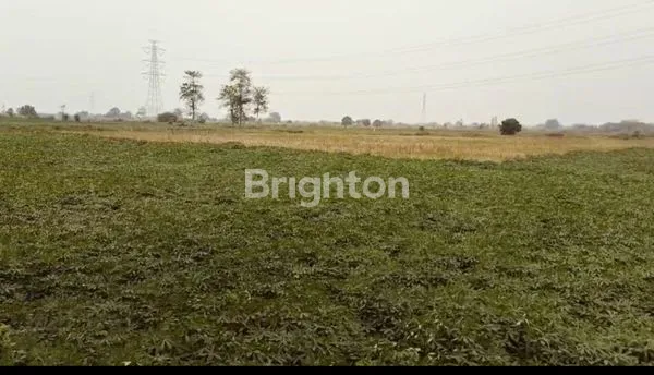 image LAHAN LUAS, MURAH, DI KEC. SEKARWANGI & KEC. TAMBUN UTARA, BEKASI (2)