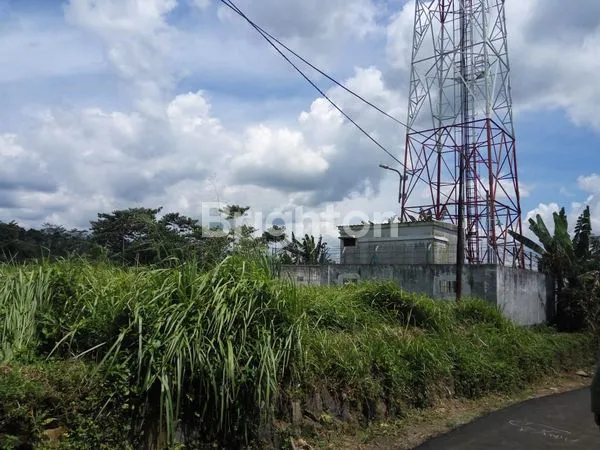 image LAHAN KEBUN DI CICURUNG (3)