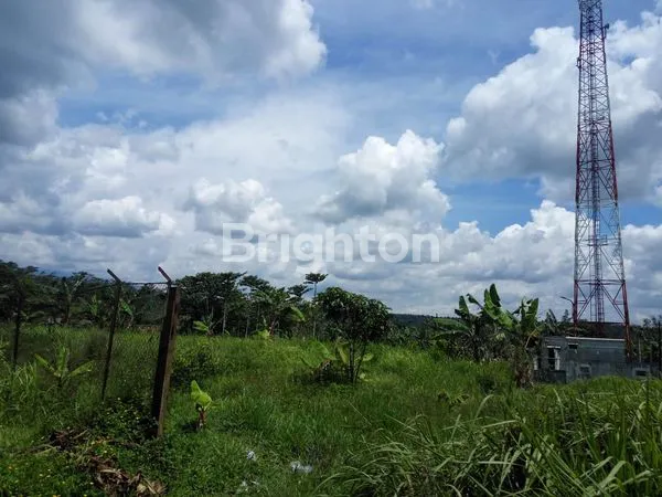 image LAHAN KEBUN DI CICURUNG (2)