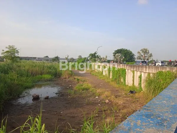 image TANAH DI RAYA MERR BARANG LANGKA (1)