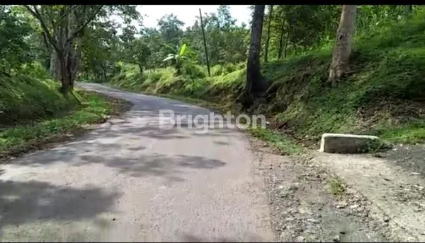 image KEBUN JATI MAS SUKABUMI (3)