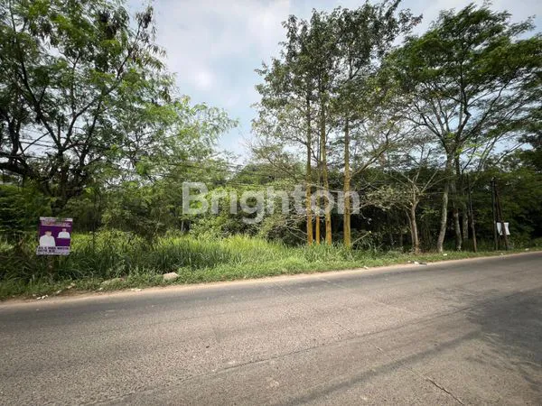 image 3JT AJA DAPET TANAH UNTUK INVESTASI (2)