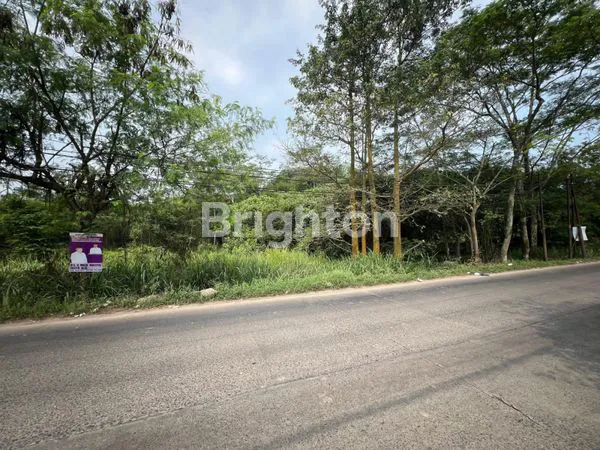 image 3JT AJA DAPET TANAH UNTUK INVESTASI (1)