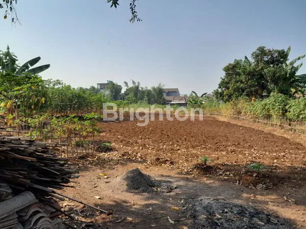 image TANAH 1,5HA COCOK MEMBANGUN USAHA (1)