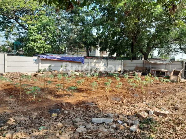 image TANAH 1,5HA COCOK MEMBANGUN USAHA (5)