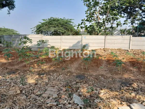 image TANAH 1,5HA COCOK MEMBANGUN USAHA (4)