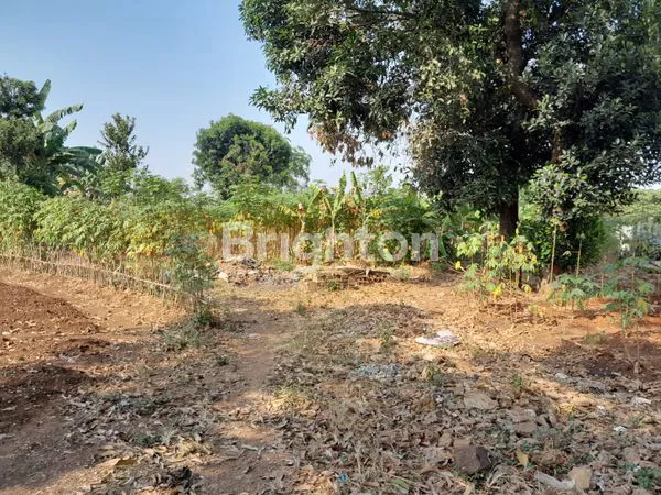 image TANAH 1,5HA COCOK MEMBANGUN USAHA (3)