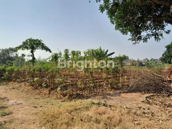 image TANAH 1,5HA COCOK MEMBANGUN USAHA (2)