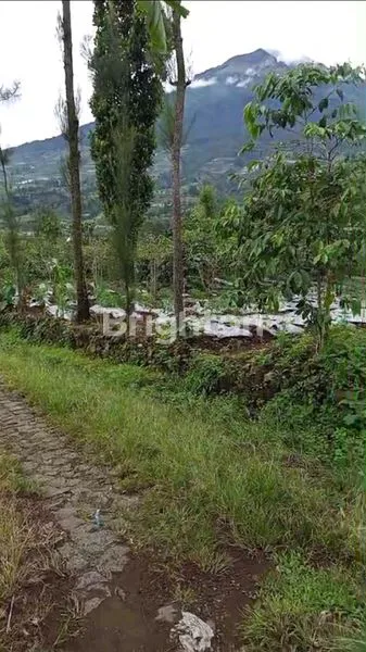 image TANAH KEBUN DI TEMANGGUNG (1)