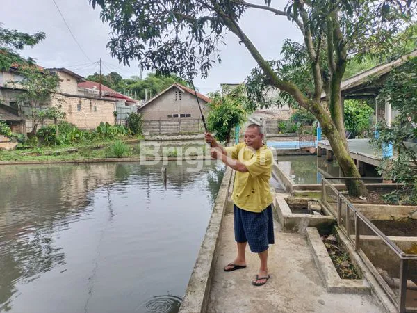image RUMAH KOMPLIT DENGAN EMPANG IKAN , KANDANG AYAM. DAN.KEBUN DI SAMPING TAMAN.YASMIN BOGOR (6)