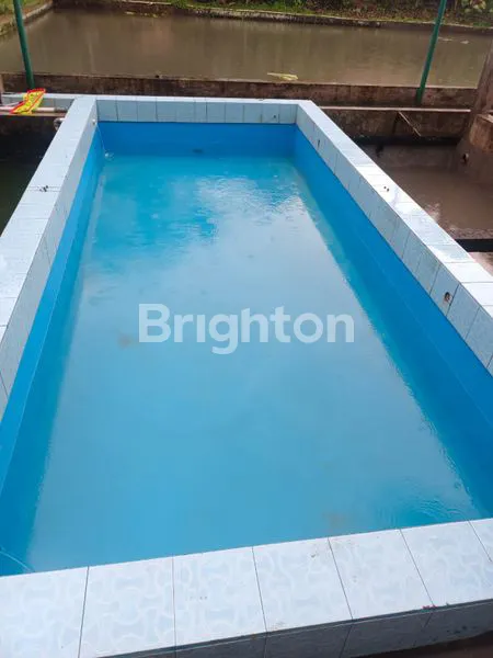 image RUMAH KOMPLIT DENGAN EMPANG IKAN , KANDANG AYAM. DAN.KEBUN DI SAMPING TAMAN.YASMIN BOGOR (5)