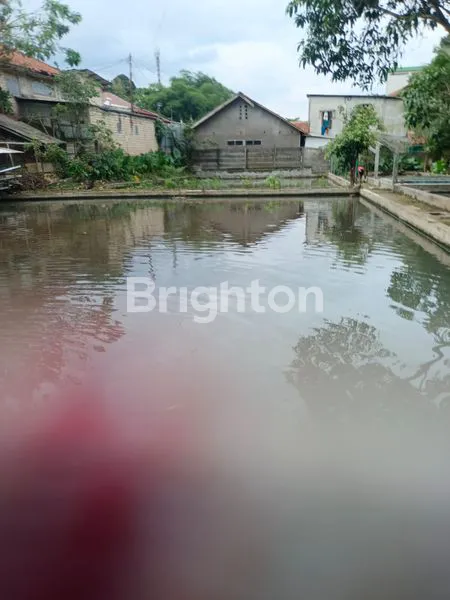 image RUMAH KOMPLIT DENGAN EMPANG IKAN , KANDANG AYAM. DAN.KEBUN DI SAMPING TAMAN.YASMIN BOGOR (1)
