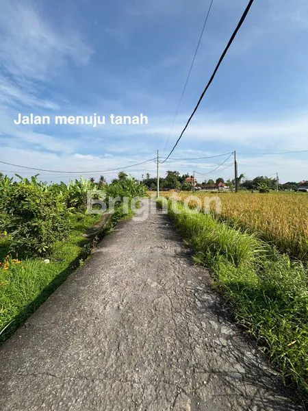 DIJUAL TANAH DI CELUK BATUBULAN SUKAWATI GIANYAR