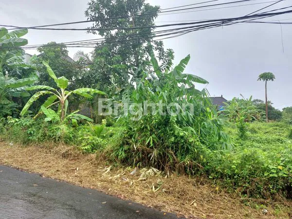 image TANAH IDAMAN 2 MENIT KE JALAN UTAMA JL. IDA BAGUS MANTRA & 3 MENIT KE PANTAI PERING GIANYAR BALI (5)