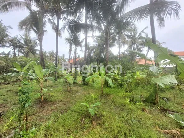 image TANAH IDAMAN 2 MENIT KE JALAN UTAMA JL. IDA BAGUS MANTRA & 3 MENIT KE PANTAI PERING GIANYAR BALI (3)
