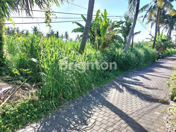 image TANAH LEASEHOLD 20 - 30 TAHUN  DI PANTAI SABA, GIANYAR BALI 350 M DARI PANTAI LANGKA JARANG DIJUMPAI (5)