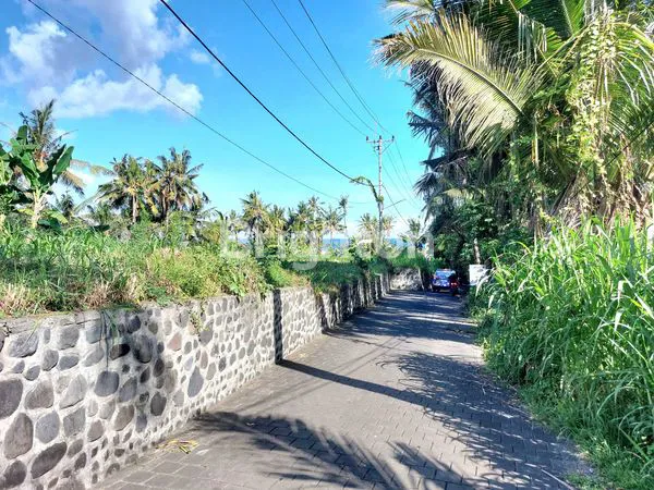 TANAH LEASEHOLD 20 - 30 TAHUN  DI PANTAI SABA, GIANYAR BALI 350 M DARI PANTAI LANGKA JARANG DIJUMPAI
