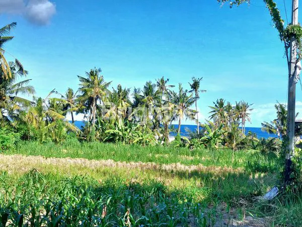 image TANAH LEASEHOLD 20 - 30 TAHUN  DI PANTAI SABA, GIANYAR BALI 350 M DARI PANTAI LANGKA JARANG DIJUMPAI (2)