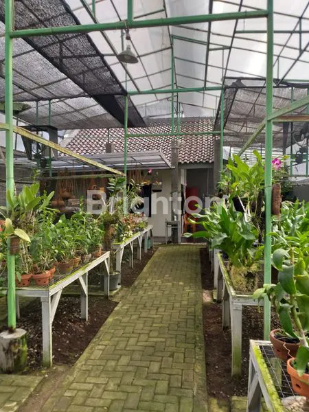 image TANAH KEBUN ANGGREK DAN KANTOR (2)
