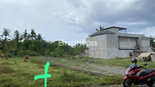 image JUAL TANAH PANTAI SABA LOKASI DEKAT DENGAN PANTAI (1)