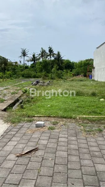 image JUAL TANAH PANTAI SABA LOKASI DEKAT DENGAN PANTAI (3)