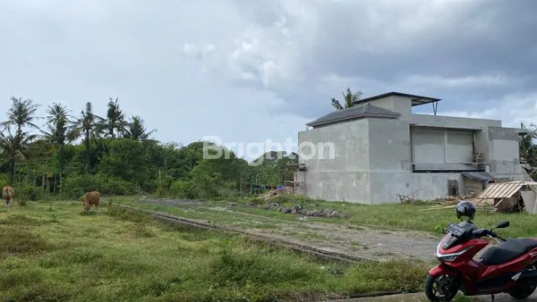 image JUAL TANAH PANTAI SABA LOKASI DEKAT DENGAN PANTAI (5)