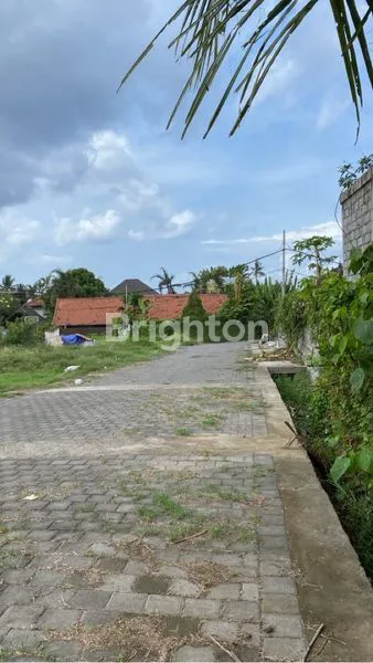 image JUAL TANAH PANTAI SABA LOKASI DEKAT DENGAN PANTAI (7)