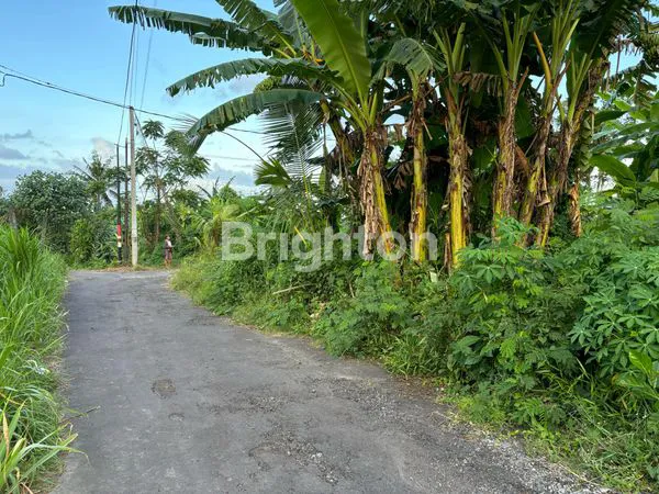 image TANAH PREMIUM DILOKASI YG BANYAK DIMINATI BAIK UNTUK VILLA/RMH TINGGAL DI DEKAT PANTAI SABA GIANYAR (1)