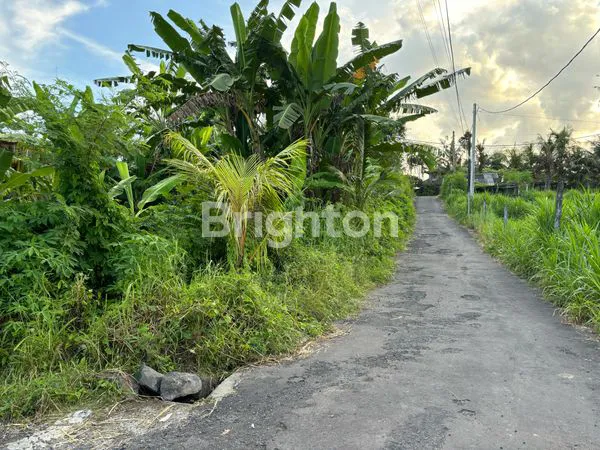 image TANAH PREMIUM DILOKASI YG BANYAK DIMINATI BAIK UNTUK VILLA/RMH TINGGAL DI DEKAT PANTAI SABA GIANYAR (2)