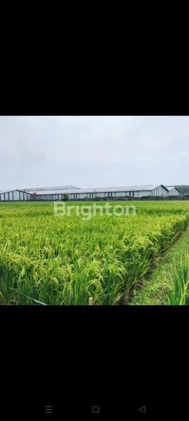 image TANAH INDUSTRI SUBANG 13.200M² SHM (2)