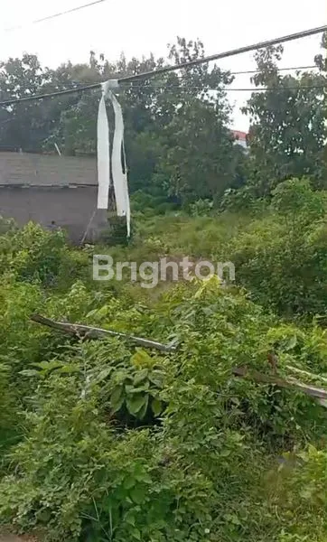 image DIJUAL TANAH SIAP BANGUN AREA BENOA 16 ARE LINGKUNGAN KOMPLEK VILLA (4)