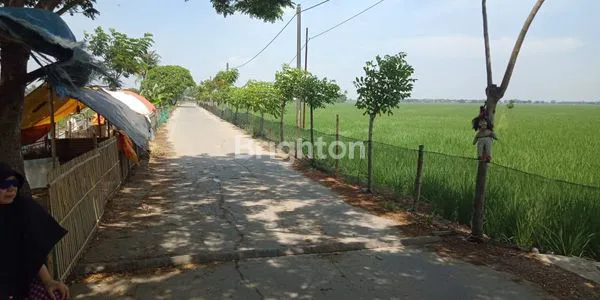 TANAH KAVLING ZONA KUNING COCOK UNTUK PERUMAHAN DI PEBAYURAN BEKASI